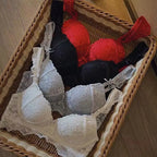 Ensemble soutien-gorge push Up en dentelle brodée et culotte pour femmes