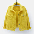 Veste en jean pour femmes