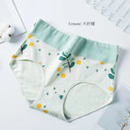 Culotte sexy pour femmes