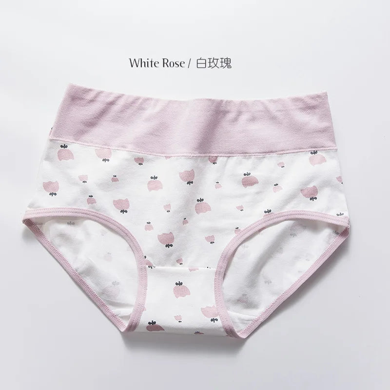 Culotte en coton pour femmes