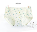 Culotte en coton pour femmes