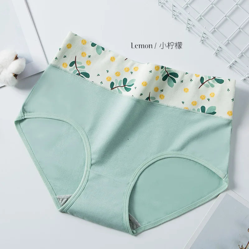 Culotte sexy pour femmes
