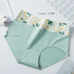 Culotte sexy pour femmes