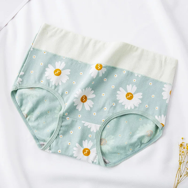 Culotte sexy pour femmes