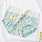 Culotte sexy pour femmes
