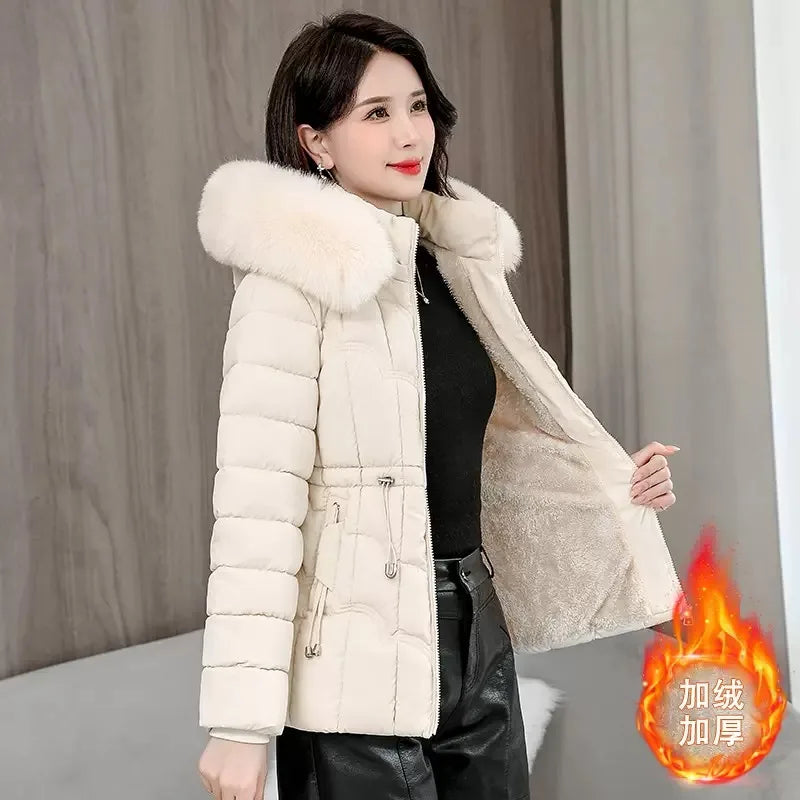 Manteau d'hiver matelassé en coton pour femmes