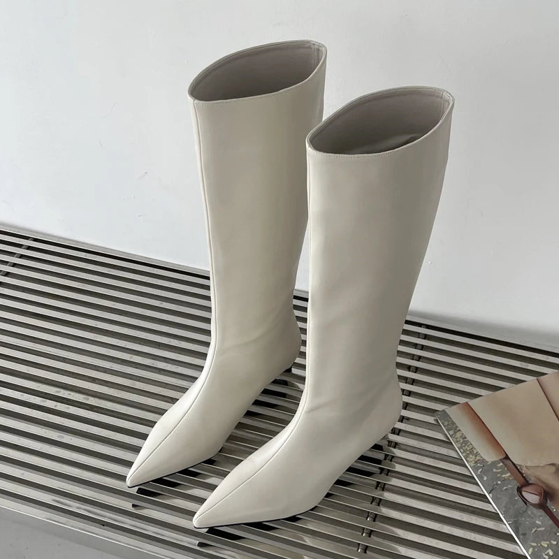 Botte à bout pointu pour femmes