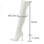 Bottes hautes à talons aiguilles sexy pour femmes