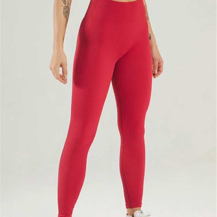 Leggings Push Up en tricot sans couture pour femmes