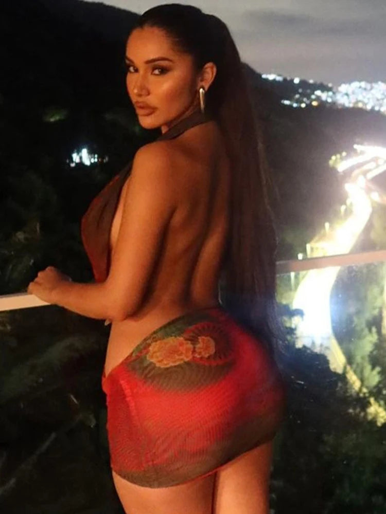 Robe sexy en résille pour femmes