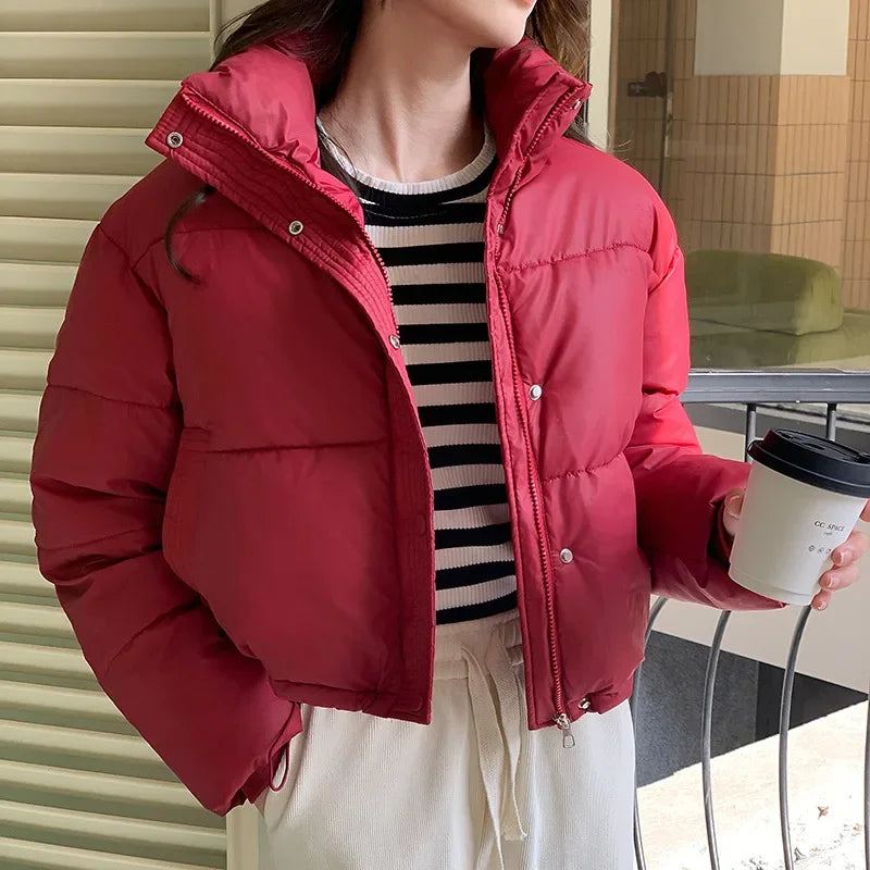 Veste courte d'hiver pour femmes