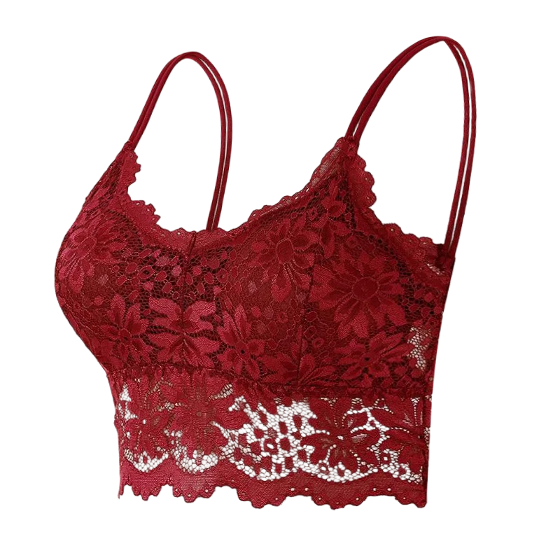 Brassière en dentelle Sexy et séduisante pour femmes